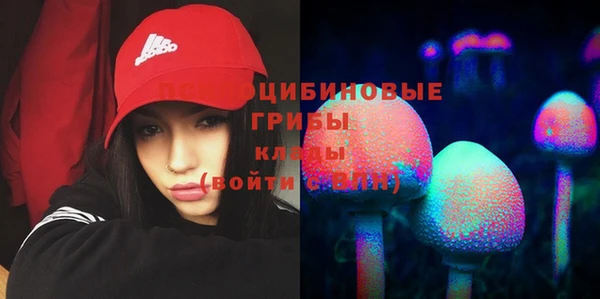 ГАЛЛЮЦИНОГЕННЫЕ ГРИБЫ Балабаново