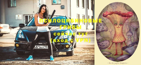ГАЛЛЮЦИНОГЕННЫЕ ГРИБЫ Балабаново