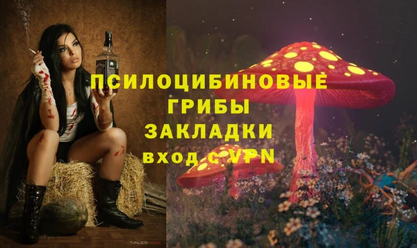 ГАЛЛЮЦИНОГЕННЫЕ ГРИБЫ Балабаново