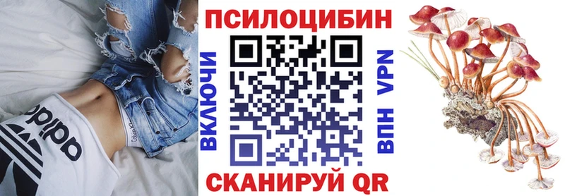 Галлюциногенные грибы Cubensis  Сунжа 